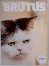 BRUTUS　2009年3/15号
