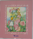 Fairy wishing book 