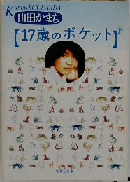 17歳のポケット