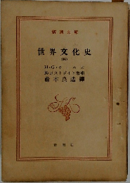 世界文化史4　