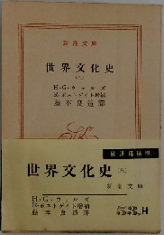 世界文化史  (八)