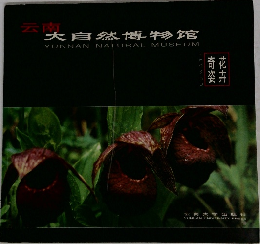 大自然博物館