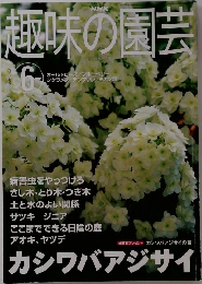 趣味の園芸　2001年6月号