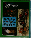 科学のアルバム　カブトムシ