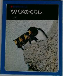 ツバメのくらし