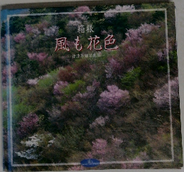 風も花色
