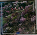 風も花色