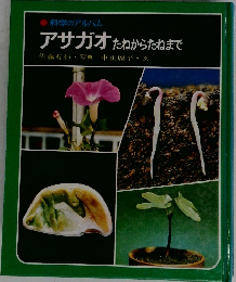 科学のアルバム  アサガオ たねからたねまで