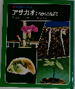 科学のアルバム  アサガオ たねからたねまで