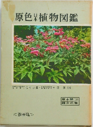 原色日本植物図鑑