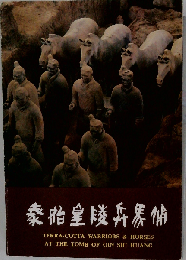 秦始皇兵器補