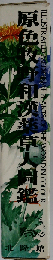 原色牧野和漢薬草大図鑑