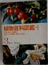 「講談社学習大図鑑「3」」植物大百科図鑑 Ⅰ