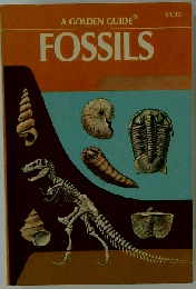 Fossils, a Guide to Prehistoric Life