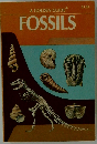 Fossils, a Guide to Prehistoric Life