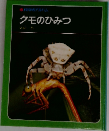 科学のアルバム  クモのひみつ