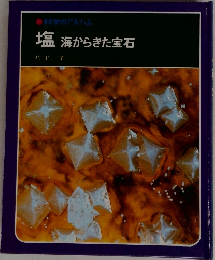 科学のアルバム  塩 海からきた宝石