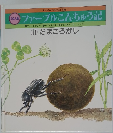 ファーブルこんちゅう記　(11) たまころがし