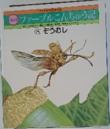 ファーブルこんちゅう記 8　ぞうむし