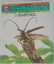 ファーブルこんちゅう記　4