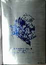 FINAL FANTASY VII  10th ANNIVERSARY  ULTIMANIA