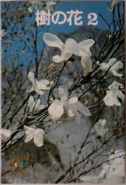 樹の花 2