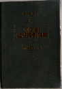 中国語文法用例辞典