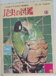 小学館の学習百科図鑑　2　昆虫の図鑑