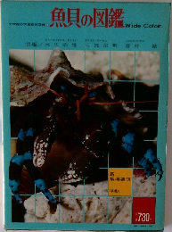 小学館の学習百科図鑑 3　魚貝の図鑑　