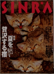 シンラ　7