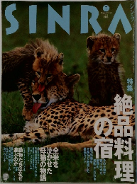 シンラ　No.31　1996年7月号