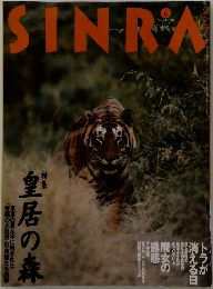 シンラ　1995年6月号