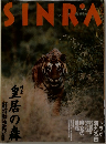 シンラ　1995年6月号