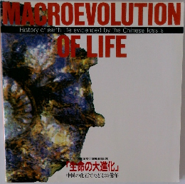 MACROEVOLUTION OF LIFE　