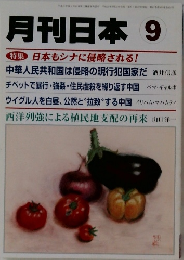 月刊日本 9  特集 日本もシナに侵略される!