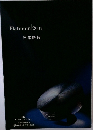 Platinum 2001 日本語版
