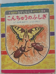 絵百科 なぜとなに? クイズつき/5　こんちゅうのふしぎ