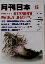 月刊日本　2011年6月号