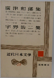 近代日本文学　28