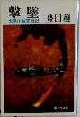 撃墜  太平洋航空戦記