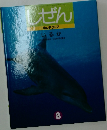 しぜん　8　いるか