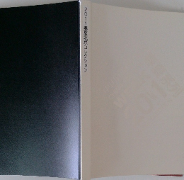 2011春夏北京コレクション