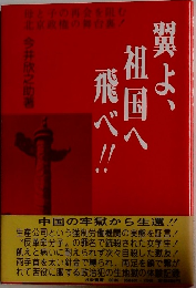 翼よ、祖国へ飛べ!!