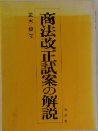 商法改正試案の解説