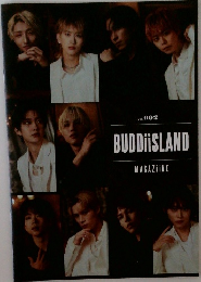BUDDiiSLAND