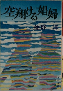 空翔ける娼婦