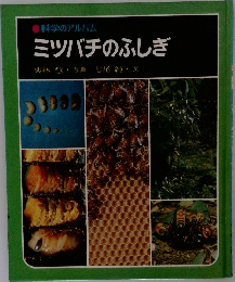 科学のアルバム  ミツバチのふしぎ