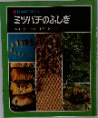 科学のアルバム  ミツバチのふしぎ