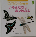 いろんなむしあつめたよ