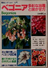 園芸ガイド・カラー入門  ベゴニア 